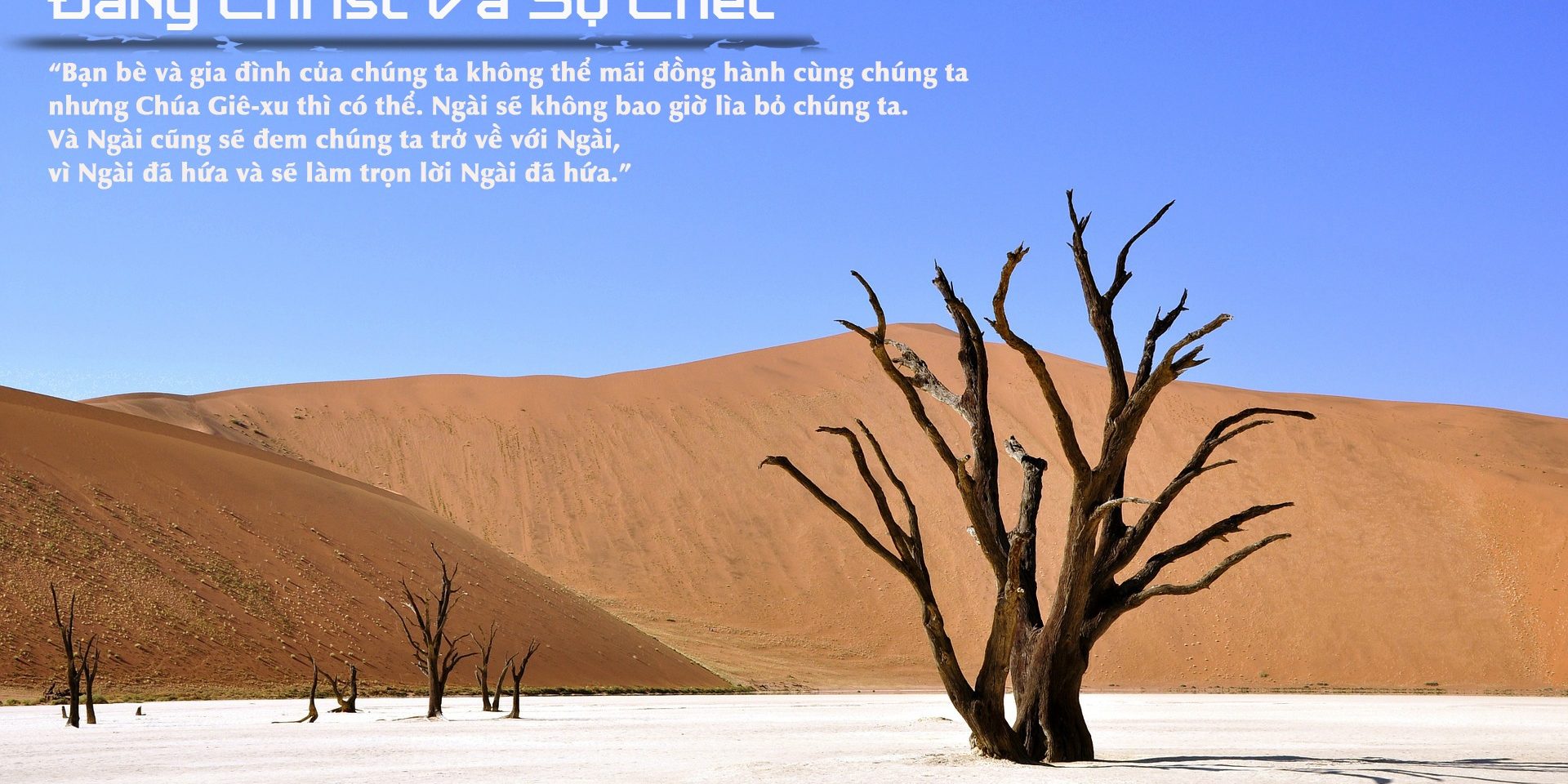 84472902_10213603032589589_6449415203405692928_o