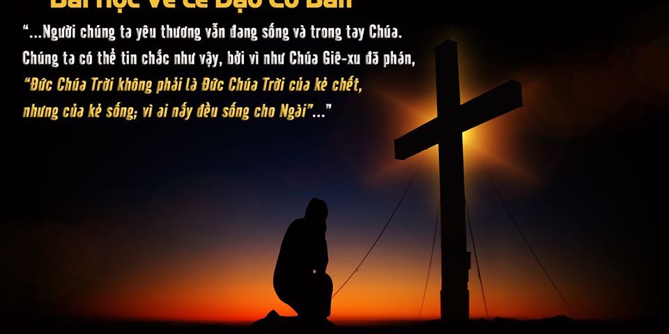 87144038_10213701363167792_1840756806209503232_o