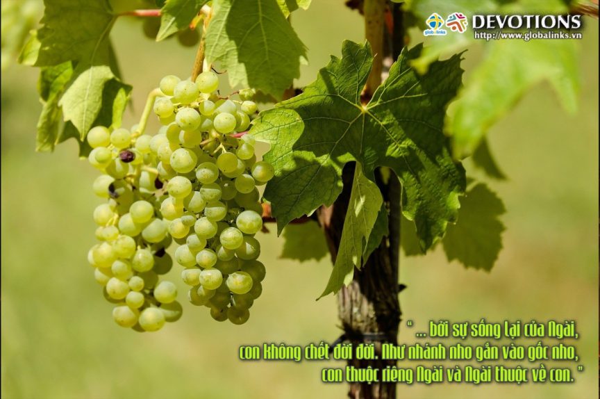 Chief of Sinners Though I Be