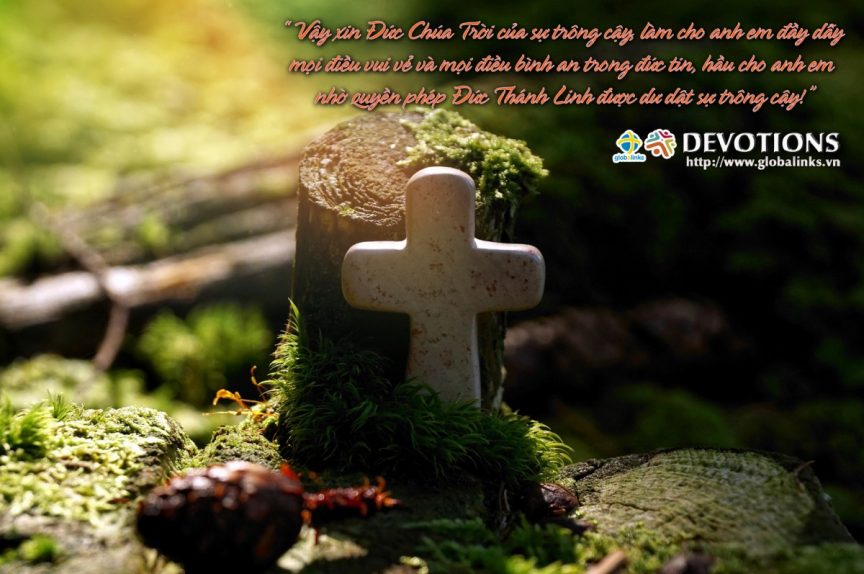 Comfort in Uncertain Times