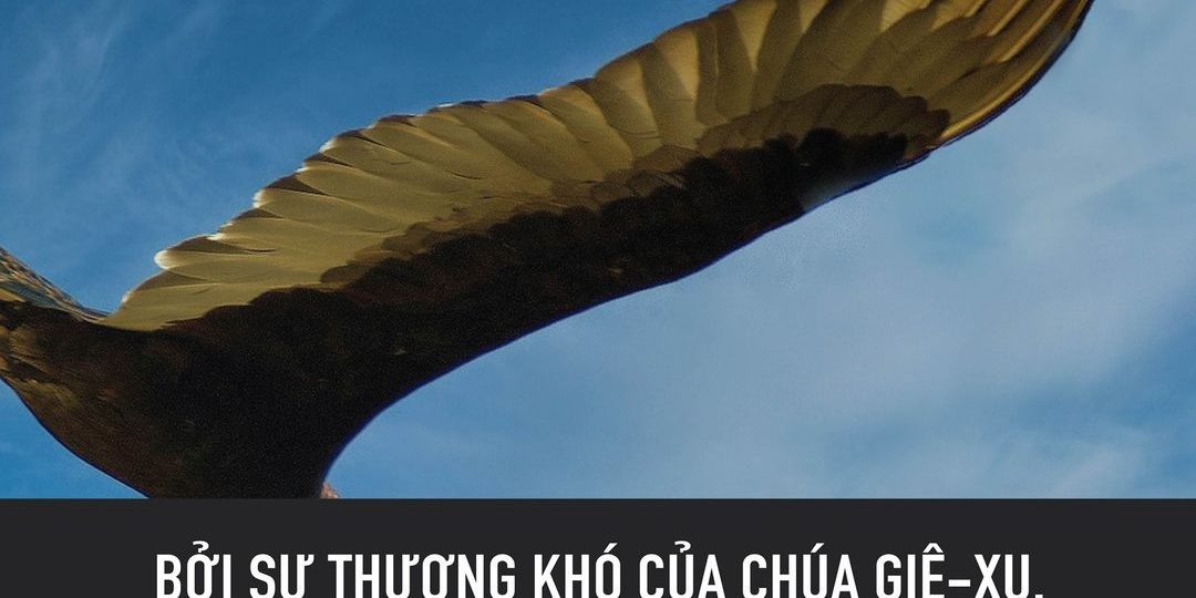 171196087_1875052942677172_8149059339772719990_n