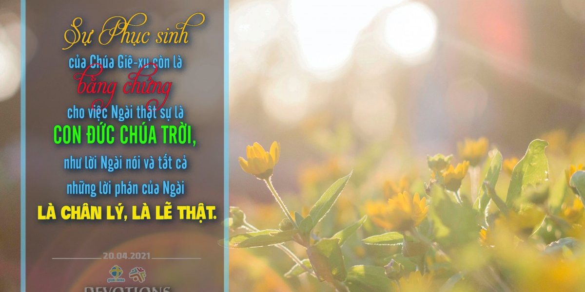 175432327_1879373488911784_732695708241816502_n