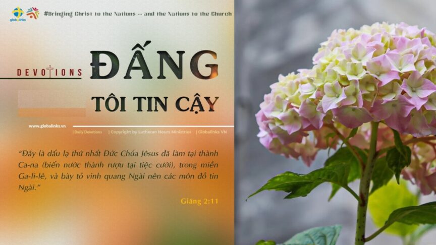 474207984_1127206342749310_3709287057041750314_n