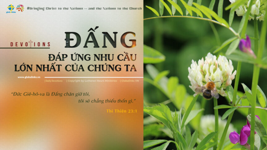 ĐẤNG ĐÁP ỨNG NHU CẦU LỚN NHẤT CỦA CHÚNG TA