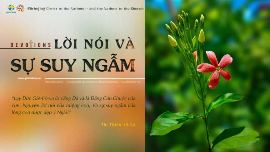 LỜI NÓI VÀ SỰ SUY NGẪM