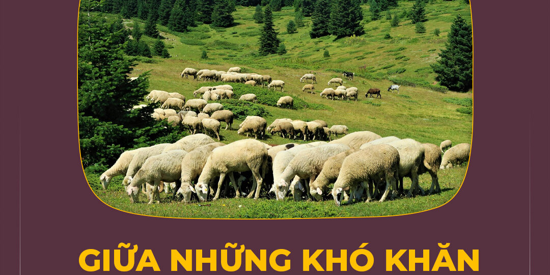 GIỮA NHỮNG KHÓ KHĂN